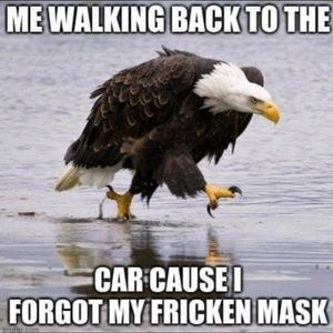 Meet your Posher, Marlene